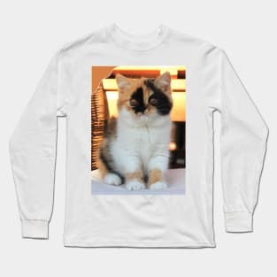 love cute cats Long Sleeve T-Shirt